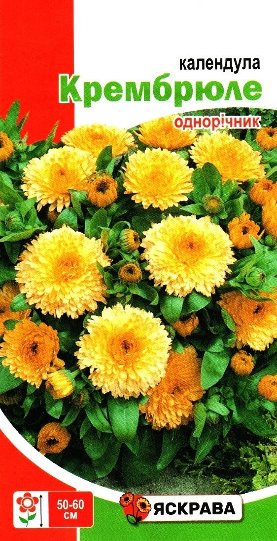 Насіння календули Крембрюле, ТМ Яскрава, 0,5г