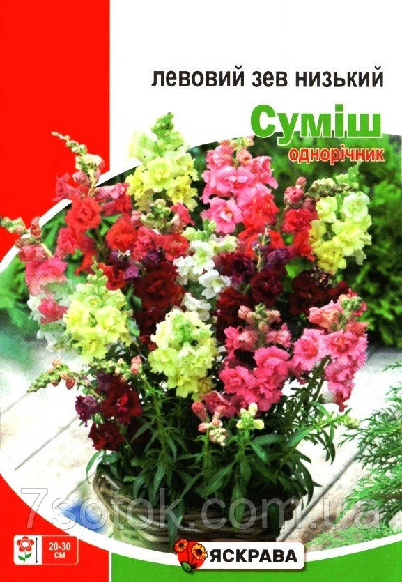 Насіння левового зіва Суміш низький, ТМ Яскрава, 2г