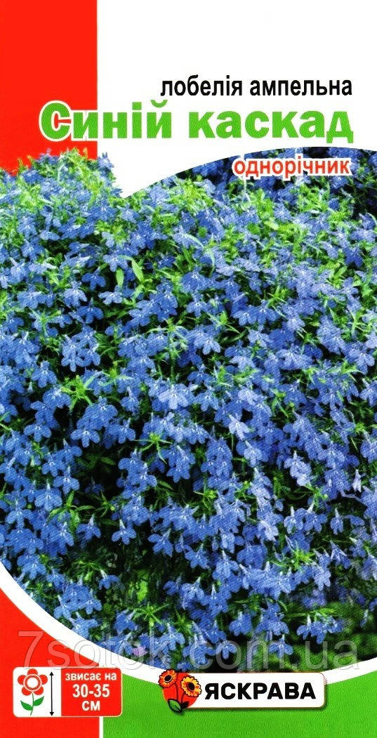 Насіння лобелії ампельної Синій каскад, ТМ Яскрава, 0,1г