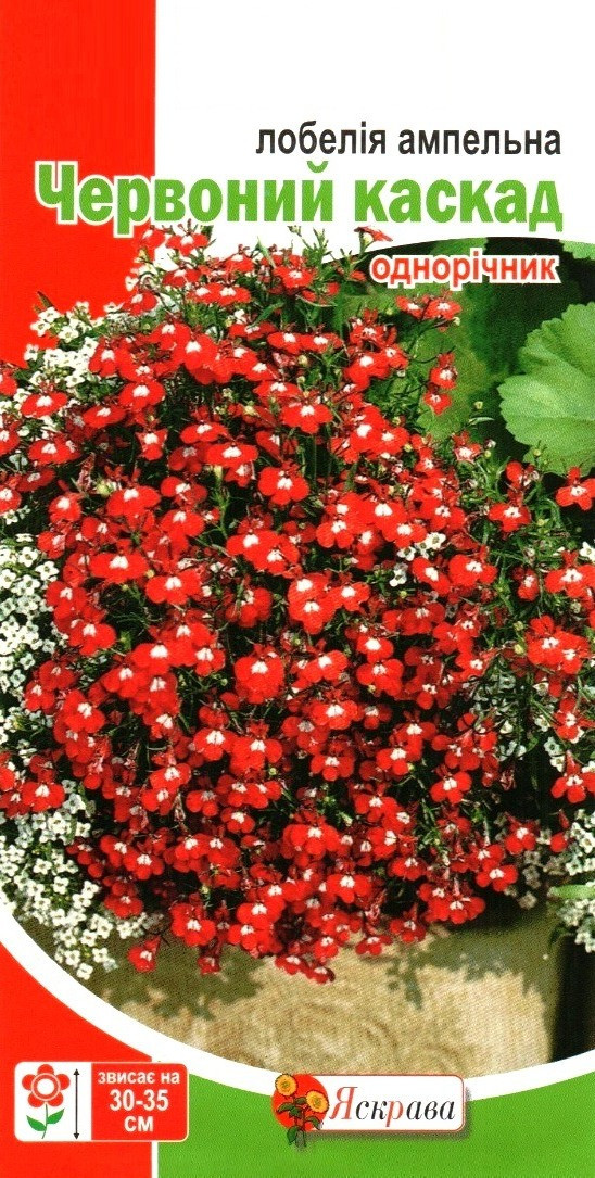 Насіння лобелії ампельної Червоний каскад, ТМ Яскрава, 0,1г