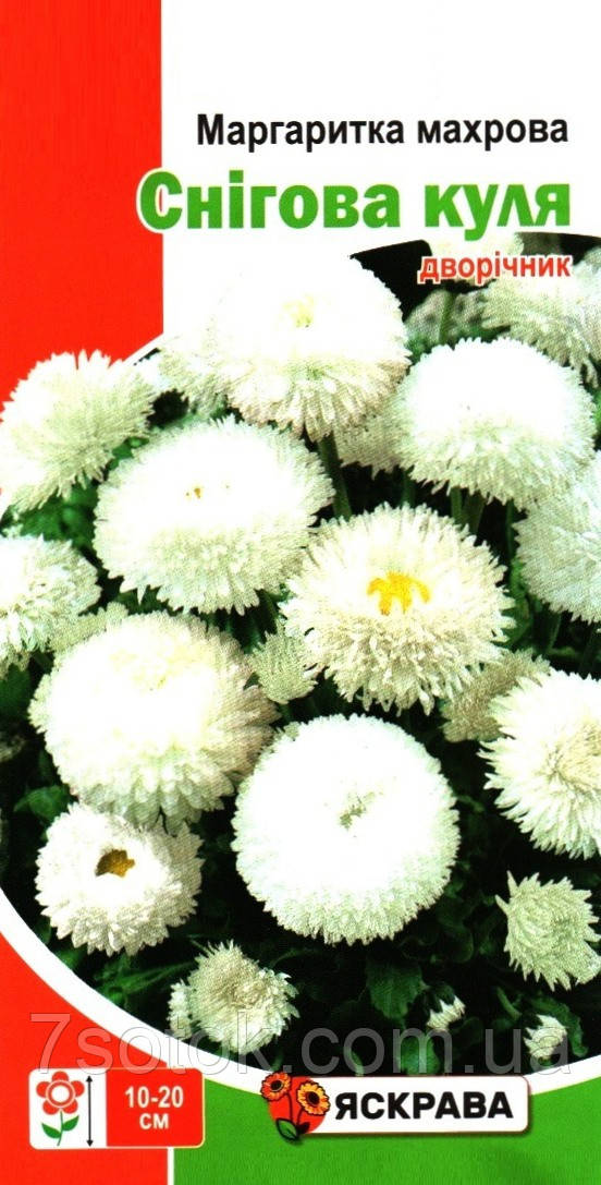 Насіння маргаритки махрової Снігова куля біла, ТМ Яскрава, 0,1г