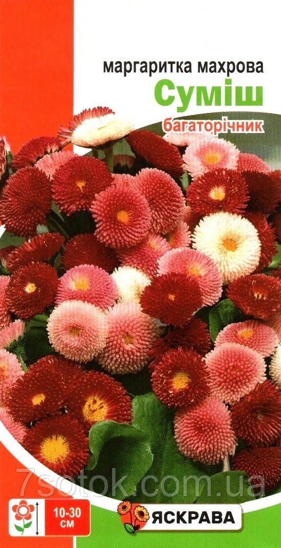Насіння маргаритки махрової Сумiш, ТМ Яскрава, 0,1г
