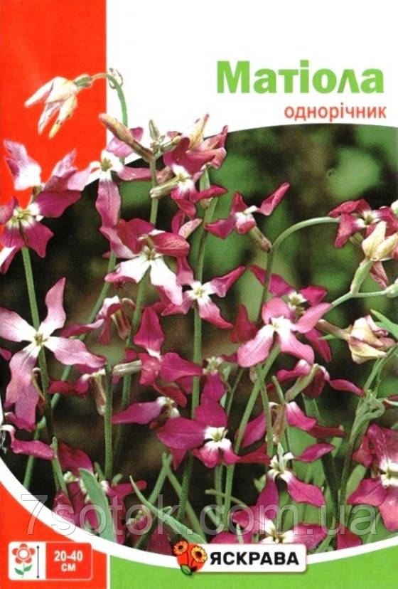 Насіння матіоли, ТМ Яскрава, 10г