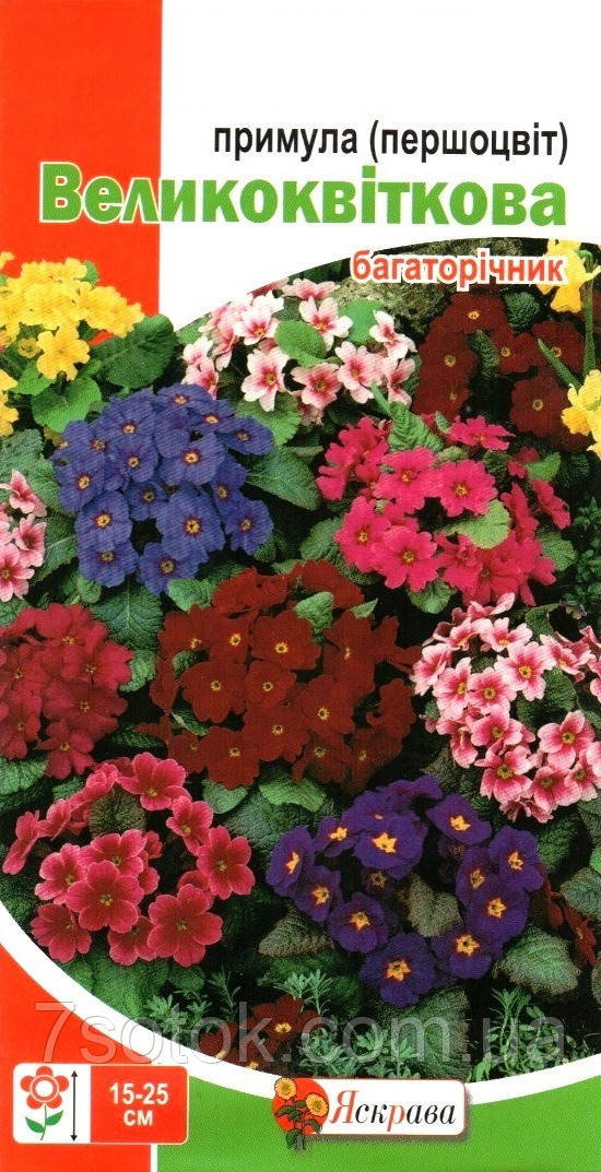 Насіння першоцвіту великоквіткового (прімула) суміш, ТМ Яскрава, 0,1г