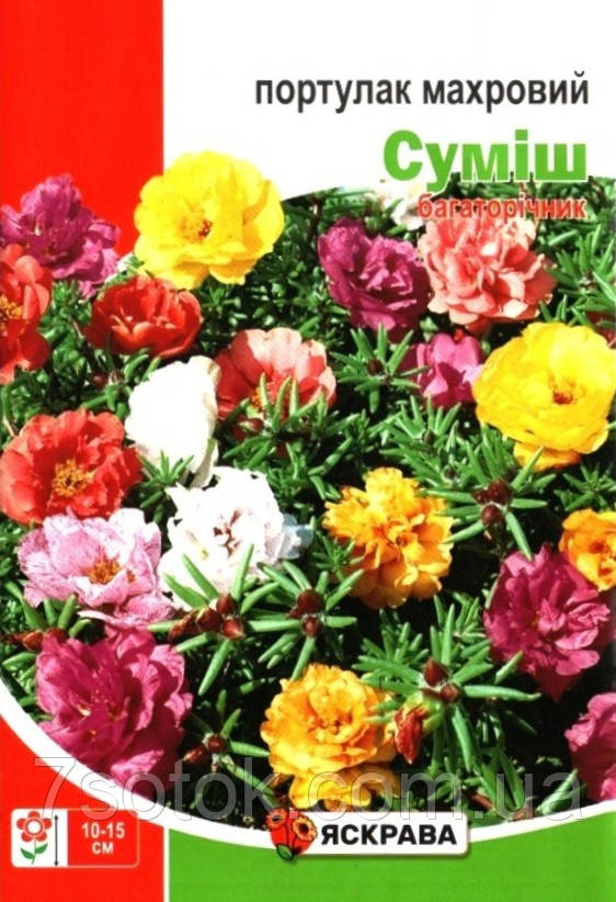 Насіння портулаку Махровий суміш, ТМ Яскрава, 2г