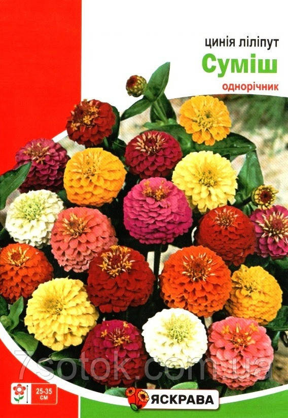 Насіння цинії ліліпут суміш, ТМ Яскрава, 3г