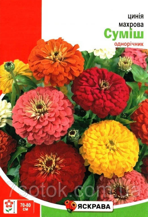 Насіння цинії Махрова висока суміш, ТМ Яскрава, 3г