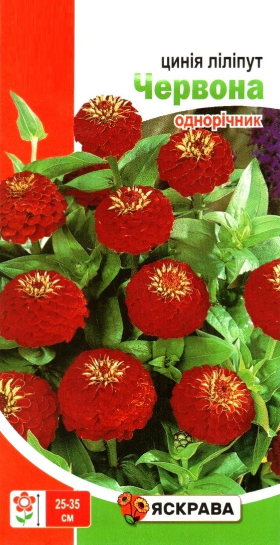 Насіння цинії ліліпут Червона, ТМ Яскрава, 0,5г