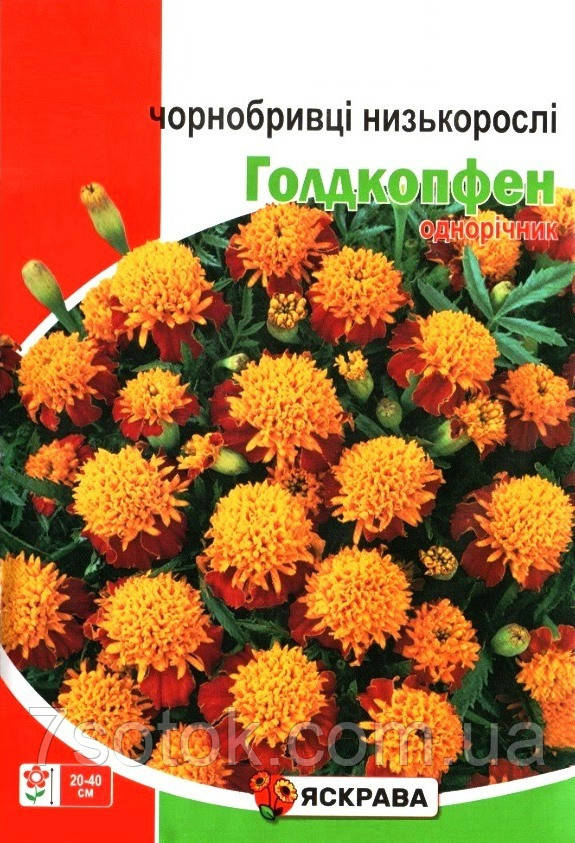 Семена бархатцев низких Голдкопфен, ТМ Яскрава, 5г - фото 1 - id-p2008648764
