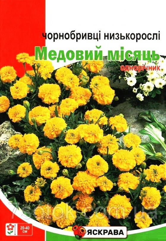 Насіння чорнобривців низьких Медовий місяць, ТМ Яскрава, 0,5г