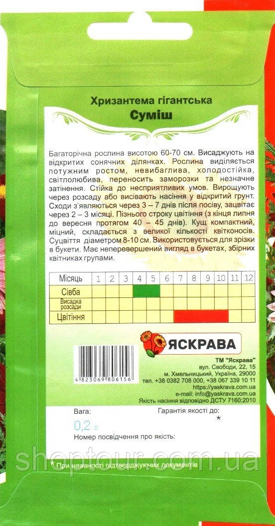 Посевные семена хризантемы гигантской смеси, 0,2г - фото 2 - id-p2008698485