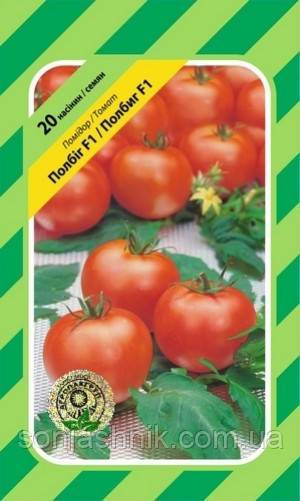 Томат Полбіг F1 20н АПГ