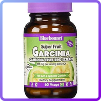 Екстракт Фрукта Гарцинія Камбоджійська Bluebonnet Nutrition Super Fruit Garcinia 60 гельових капсул (510649)
