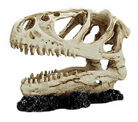 Декорация HOBBY, Tyrannosaurus Rex, 14 см. Декорация для аквариума в форме черепа динозавра.