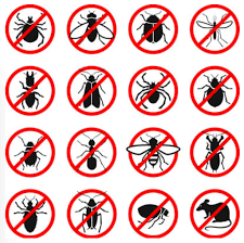 Хімічні засоби від комах