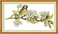 Набор для вышивания по нанесённой на канву схеме "Bird and flowers". AIDA 14CT printed, 48*28 см