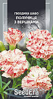 Гвоздика Шабо полуниця зі сливками 0.2 г SeedEra (одноріч.)