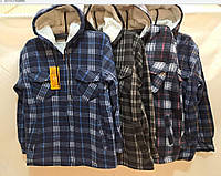 Рубашка с капюшоном на экомеху Дракон | XL-5XL