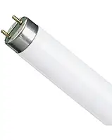 Лампа люминесцентная OSRAM L18 W765 G13 (холодный свет)