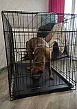 Вольєри та клітки для собак Переноска для собак Металева клітка переноска для собак (122x76x83 см), фото 5
