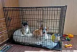 Вольєри та клітки для собак Переноска для собак Металева клітка переноска для собак (122x76x83 см), фото 6