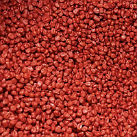 Семена кукурузы Оржица 237 МВ ФАО - 240 Украинская селекция Укр
