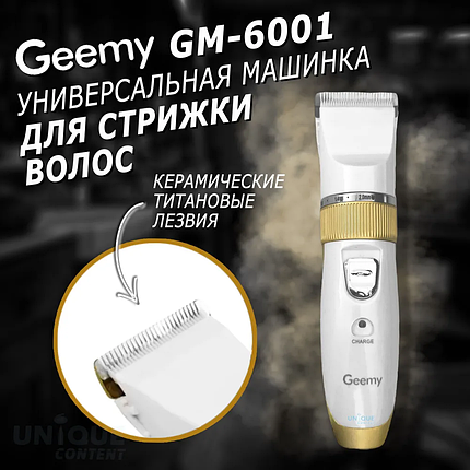 Машинка для стрижки волосся Gemei GM 6001, Тример для волосся і бороди, Окантовочна машинка, фото 1