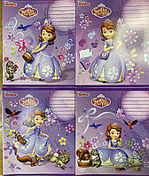 Зошит учнівський 12 арк, лінія, Disney, Leader (25/600)