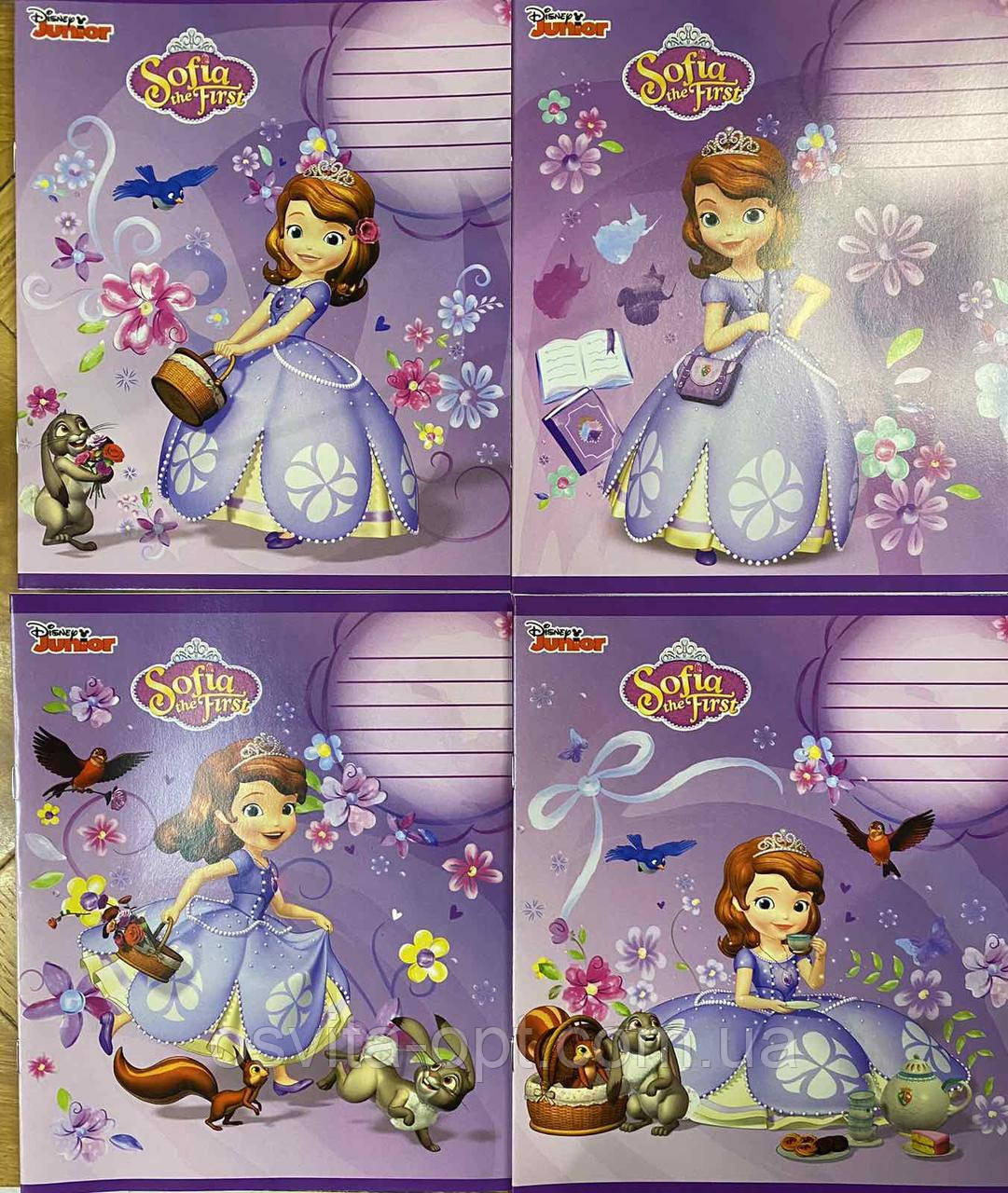Зошит учнівський 12 арк, лінія, Disney, Leader (25/600)