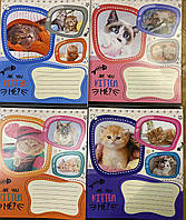 Зошит учнівський 12 арк,коса  лінія, Leader