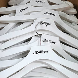 Тамподрук (нанесення логотипу) на вішалках плічках