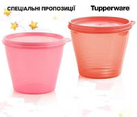 Чаша «Новая классика» 800 мл 2 шт Tupperware (Тапервер)