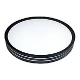 Світильник світлодіодний з пультом керування Biom SMART SML-R41/2-80 3000-6000K 80Вт, фото 3