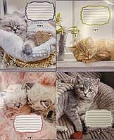 Зошит 18 арк "Лідер" клітинка (20 шт/400)