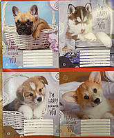 Зошит 18 арк "Лідер" клітинка (20 шт/400)