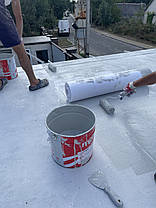 7S STARFLEX MONO 100 — Рідка поліуретанова мембрана для покрівлі, сірий 20 кг, фото 4