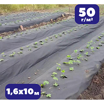 Спанбонд для полуниці 50 г/м² чорне 1,6х10м агроволокно для теплиці та винограду мульчувальне (br-AWB5016010)