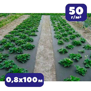 Мульчуче агроволокно 50 г/м² чорне 0,8х100м проти бурʼянів Bradas для винограду укриття ґрунту (br-AWB5008100)