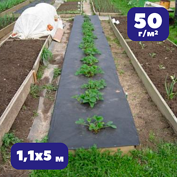 Мульчуче агроволокно 50 г/м² чорне 1,1х5м проти бурʼянів Bradas для винограду укриття ґрунту (br-AWB5011005)
