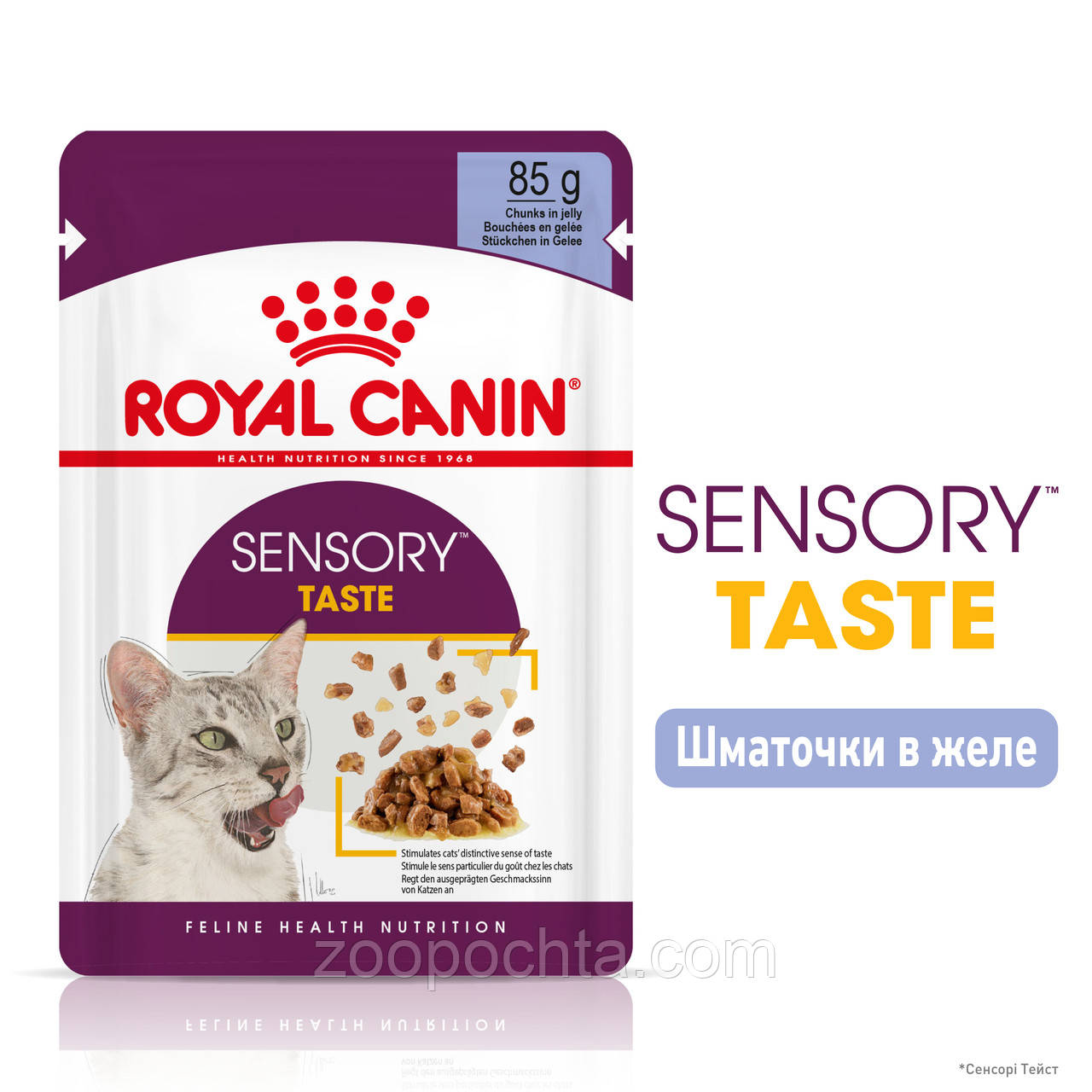 Вологий корм Royal Canin Sensory Taste для котів вибагливих до смаку корму, в желе 85 гр х 12 шт, фото 1
