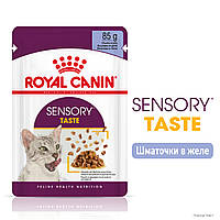 Влажный корм Royal Canin Sensory Taste in jelly для кошек привередливых к вкусу корма 85грх12шт