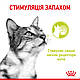Вологий корм Royal Canin Sensory Smell для котів стимуляція нюхових рецепторів, в желе 85 гр Х 12 ШТ, фото 9