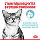Вологий корм Royal Canin Sensory Feel in jelly для котів стимуляція смакових рецепторів, 85 гр х12 шт, фото 5
