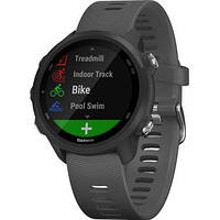 Смарт-часы Garmin Forerunner 245 Slate Gray (010-02120-00)