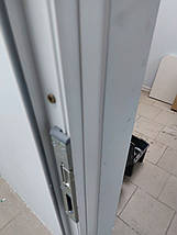 Металопластикові двері Бориспіль, фото 3