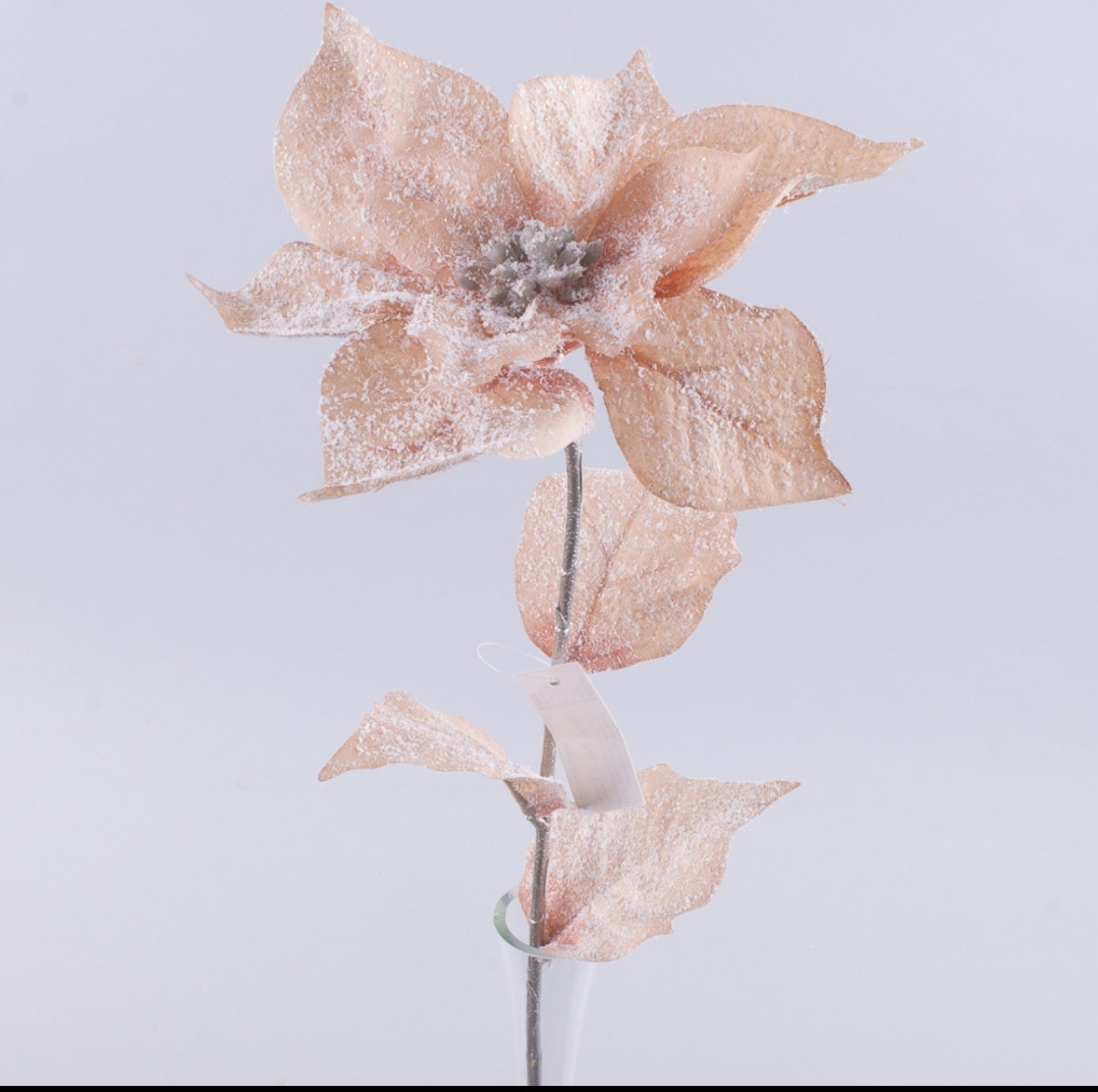 Квіти пуансетія ніжна пастель засніжена №2122 - фото 1 - id-p1500175612