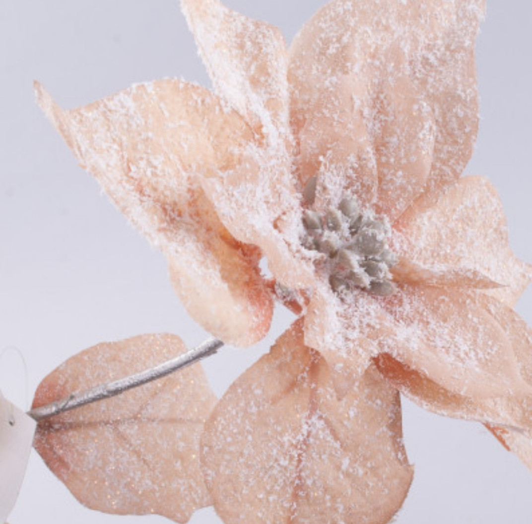 Квіти пуансетія ніжна пастель засніжена №2122 - фото 2 - id-p1500175612