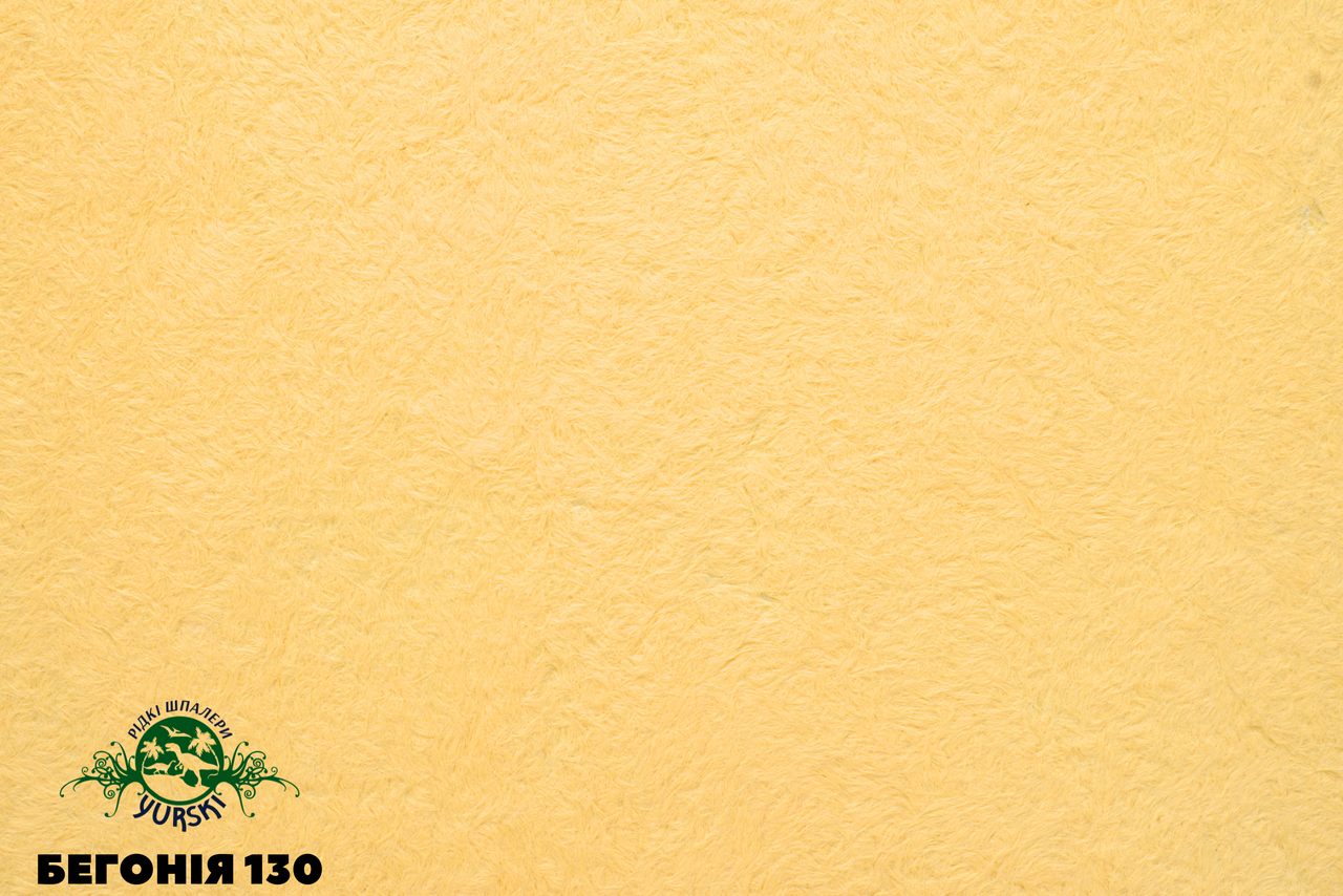 Бегонія 130