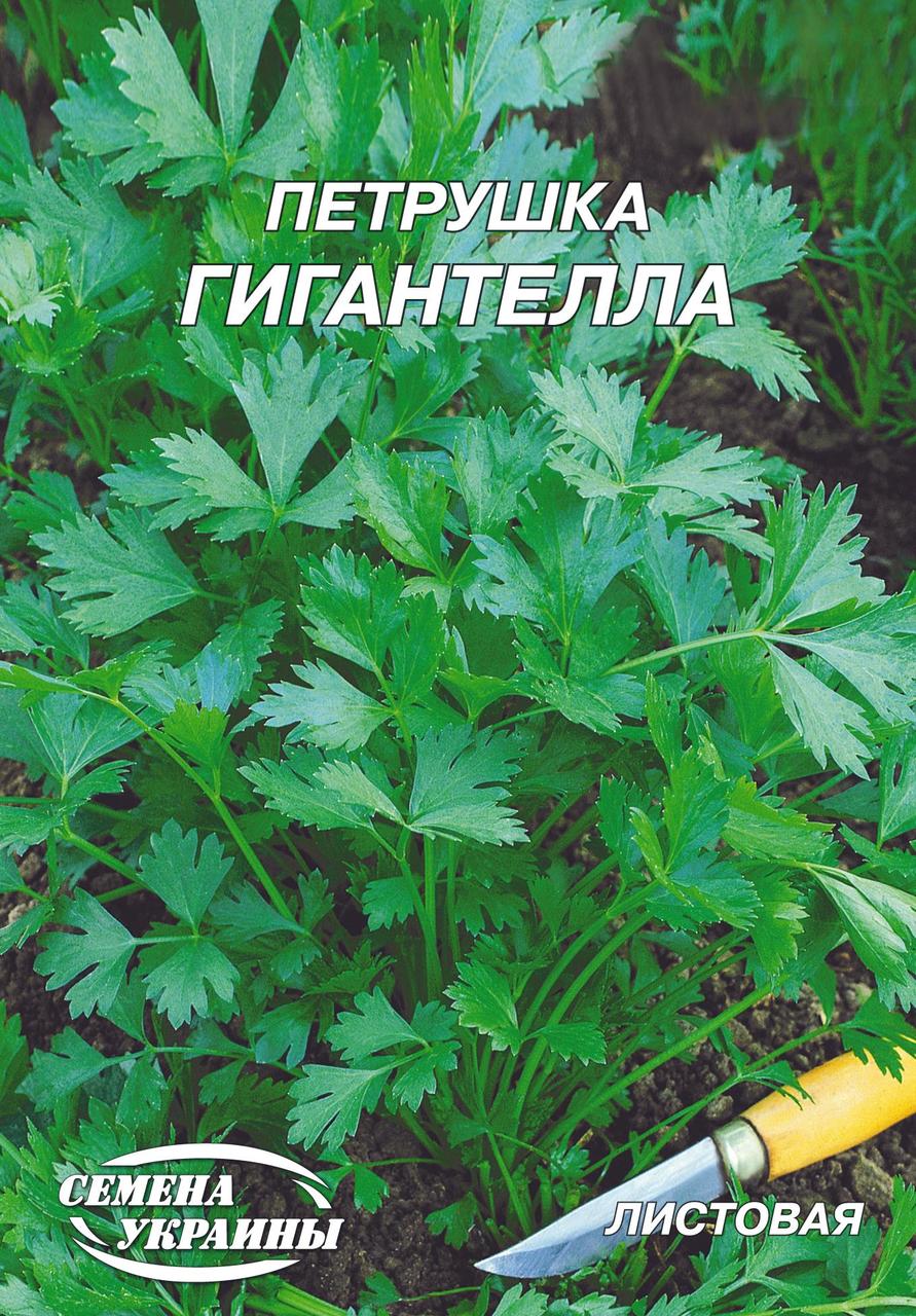 Петрушка Гігантела 20г СУ, фото 1
