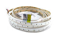 LED лента RISHANG 120-2835-24V-IP67 8,6W 268Lm Green 5м (RD30C0TC-B-G)